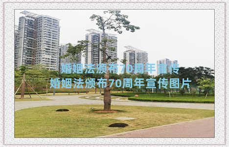 婚姻法颁布70周年宣传 婚姻法颁布70周年宣传图片